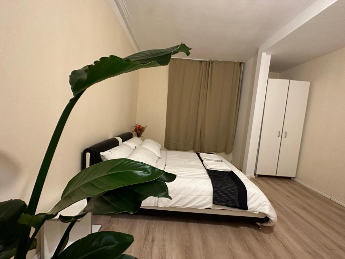 North London A Spacious 7 Bedroom House Accommodating Up To 18 People Complete With Own Gym And Table Tennis Εξωτερικό φωτογραφία